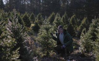 L to R: Tree, Joe Pera (Photo: Adult Swim)
